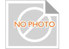 latest company news about چراغ‌های باغی خورشیدی: روشنایی بخشیدن به آینده فضاهای بیرونی پایدار