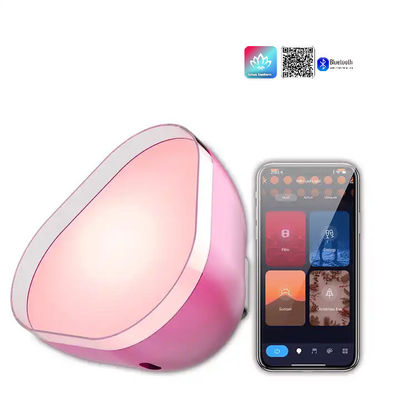 قیمت خوب USB شارژ اتموسفیر چراغ LED RGBIC بلوتوث سفارشی آنلاین